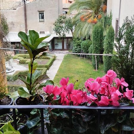 Ottantotto Viterbo Bed & Breakfast エクステリア 写真