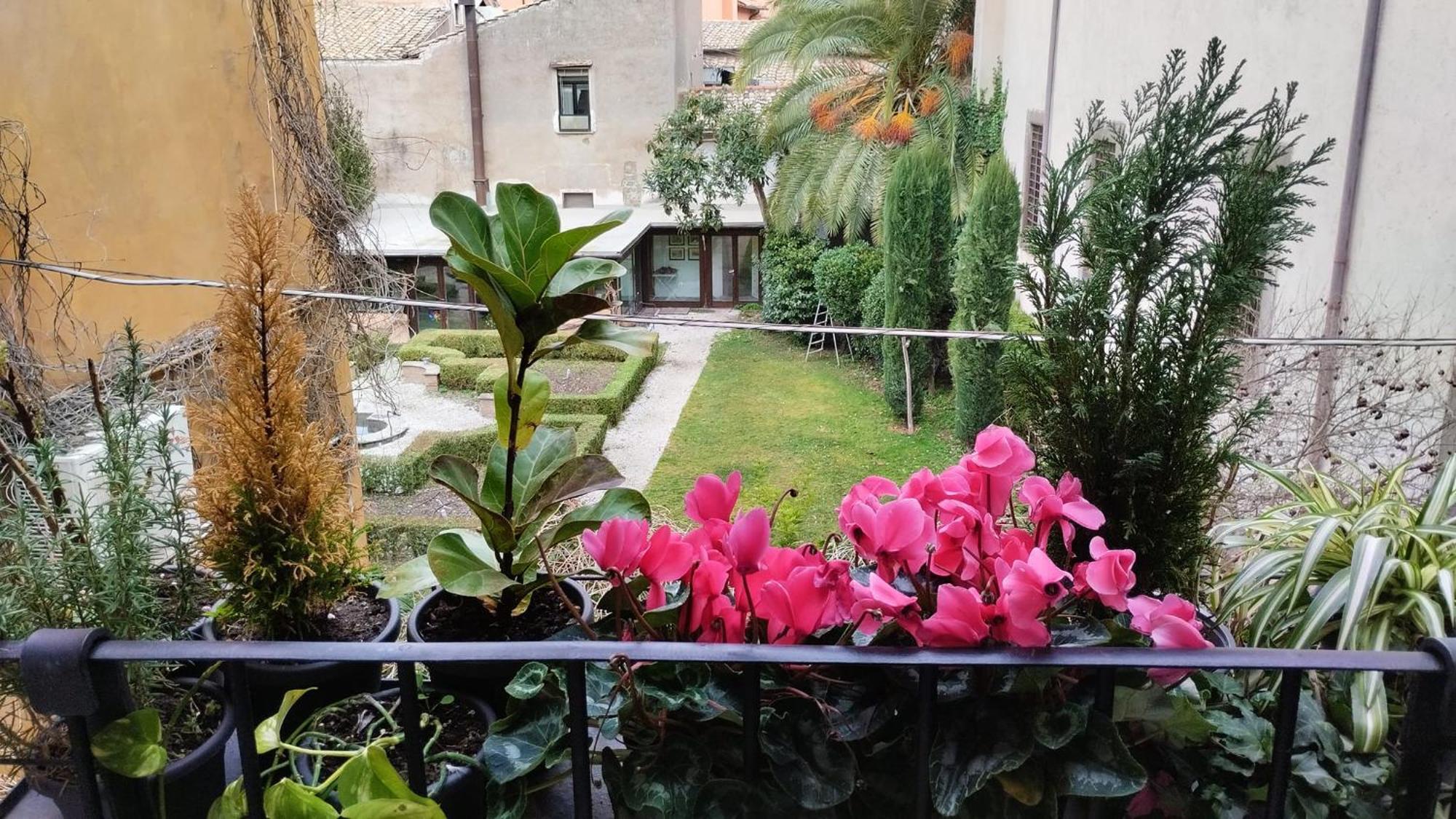 Ottantotto Viterbo Bed & Breakfast エクステリア 写真